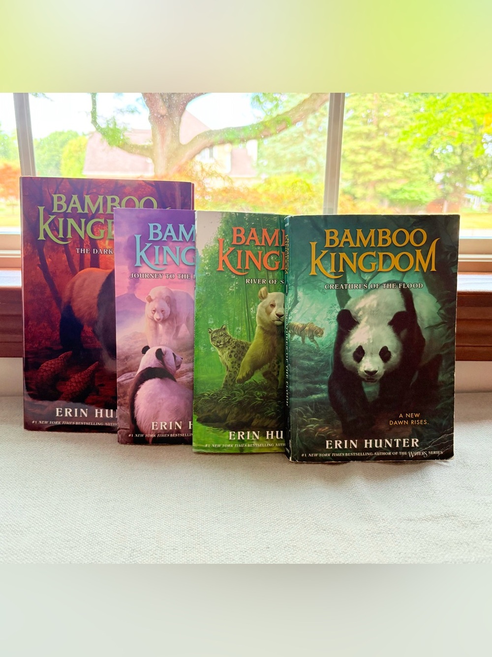 🐼 Bamboo Kingdom Book Bundle 🐼